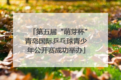第五届“萌芽杯”青岛国际乒乓球青少年公开赛成功举办