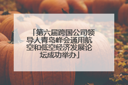 第六届跨国公司领导人青岛峰会通用航空和低空经济发展论坛成功举办