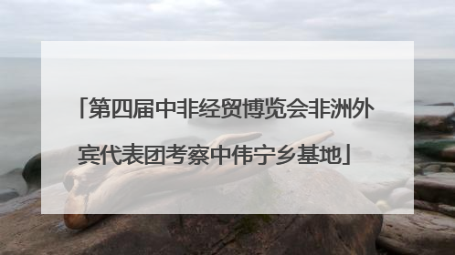 第四届中非经贸博览会非洲外宾代表团考察中伟宁乡基地