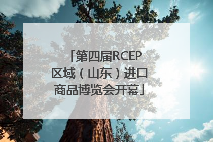 第四届RCEP区域（山东）进口商品博览会开幕