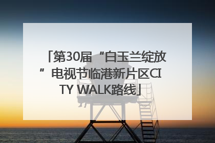 第30届“白玉兰绽放”电视节临港新片区CITY WALK路线