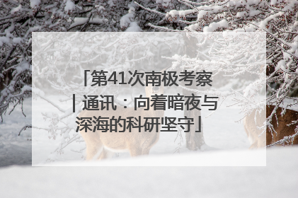 第41次南极考察｜通讯：向着暗夜与深海的科研坚守