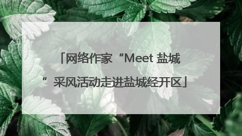 网络作家“Meet 盐城”采风活动走进盐城经开区