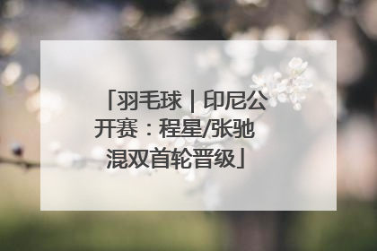 羽毛球｜印尼公开赛：程星/张驰混双首轮晋级