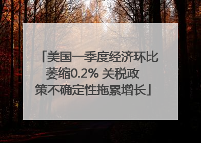 美国一季度经济环比萎缩0.2% 关税政策不确定性拖累增长