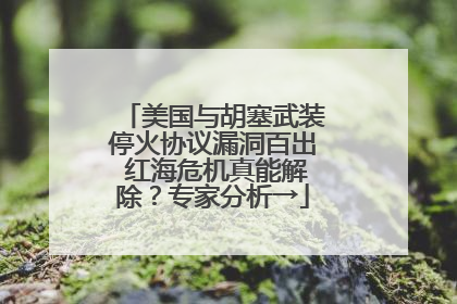 美国与胡塞武装停火协议漏洞百出 红海危机真能解除？专家分析→
