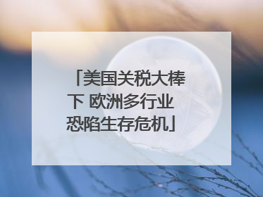 美国关税大棒下 欧洲多行业恐陷生存危机