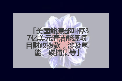 美国能源部叫停37亿美元清洁能源项目财政拨款，涉及氢能、碳捕集等