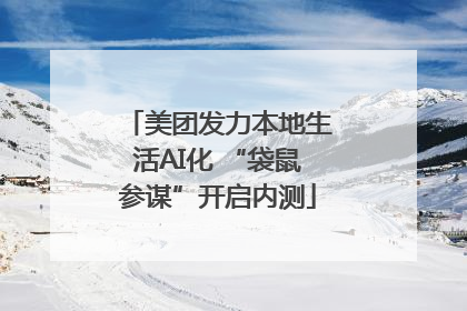美团发力本地生活AI化 “袋鼠参谋”开启内测