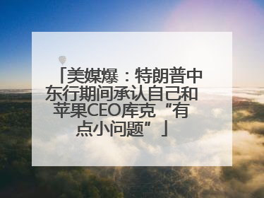 美媒爆：特朗普中东行期间承认自己和苹果CEO库克“有点小问题”