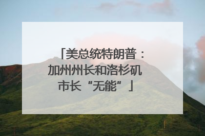 美总统特朗普：加州州长和洛杉矶市长“无能”