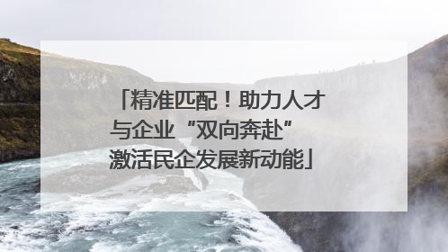 精准匹配！助力人才与企业“双向奔赴” 激活民企发展新动能