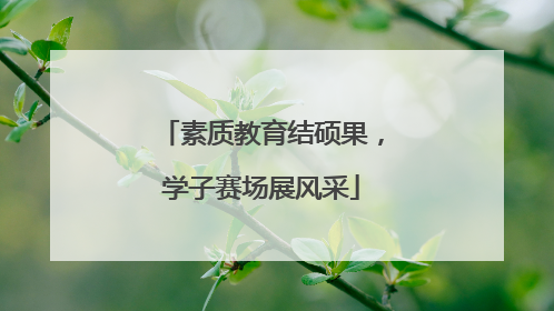 素质教育结硕果，学子赛场展风采