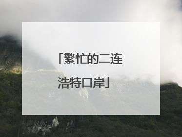 繁忙的二连浩特口岸