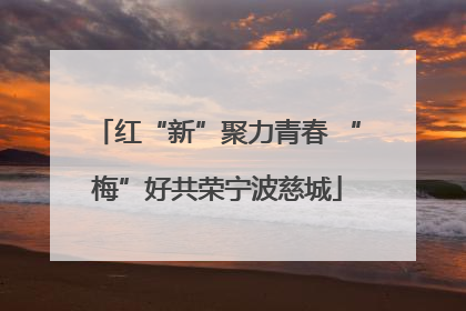 红“新”聚力青春 “梅”好共荣宁波慈城