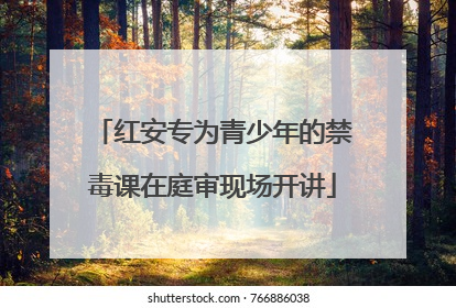 红安专为青少年的禁毒课在庭审现场开讲