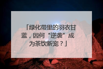 绿化带里的羽衣甘蓝，因何“逆袭”成为茶饮新宠？