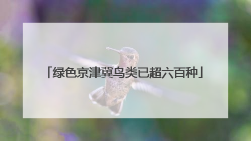 绿色京津冀鸟类已超六百种
