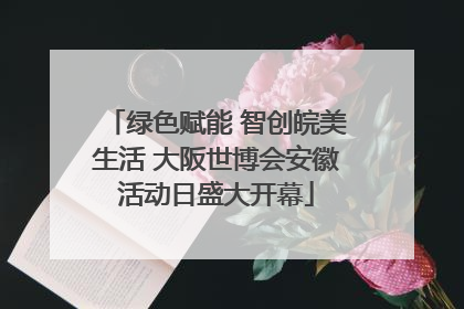 绿色赋能 智创皖美生活 大阪世博会安徽活动日盛大开幕