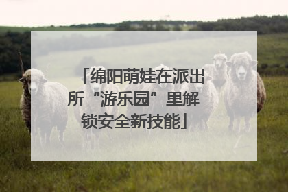 绵阳萌娃在派出所“游乐园”里解锁安全新技能