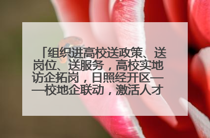 组织进高校送政策、送岗位、送服务，高校实地访企拓岗，日照经开区——校地企联动，激活人才发展“引擎”