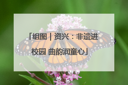 组图｜资兴：非遗进校园 曲韵润童心