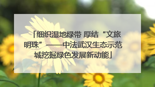 细织湿地绿带 厚结“文旅明珠”——中法武汉生态示范城挖掘绿色发展新动能