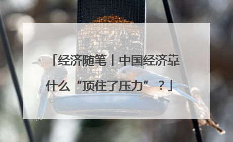 经济随笔丨中国经济靠什么“顶住了压力”？