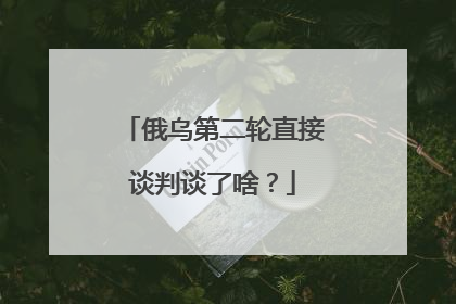 俄乌第二轮直接谈判谈了啥？
