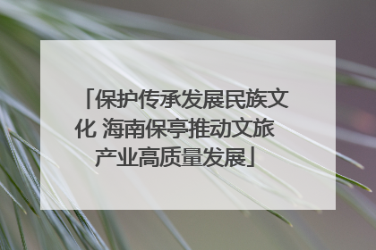 保护传承发展民族文化 海南保亭推动文旅产业高质量发展