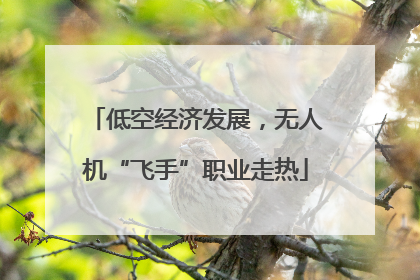 低空经济发展，无人机“飞手”职业走热