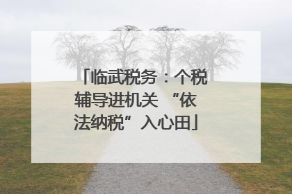 临武税务：个税辅导进机关 “依法纳税”入心田
