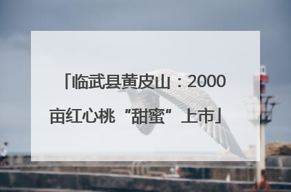 临武县黄皮山：2000亩红心桃“甜蜜”上市