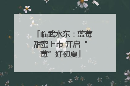 临武水东：蓝莓甜蜜上市 开启“莓”好初夏
