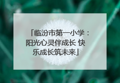 临汾市第一小学：阳光心灵伴成长 快乐成长筑未来