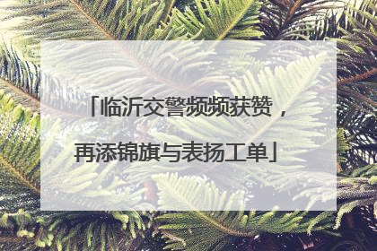 临沂交警频频获赞，再添锦旗与表扬工单