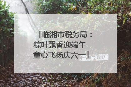 临湘市税务局：粽叶飘香迎端午 童心飞扬庆六一