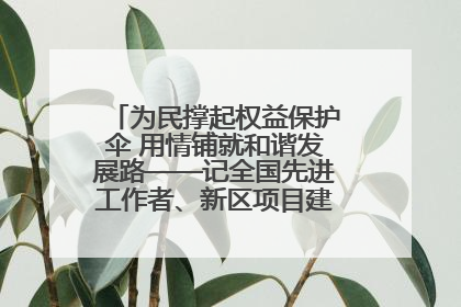 为民撑起权益保护伞 用情铺就和谐发展路——记全国先进工作者、新区项目建设中心干部卢小勇