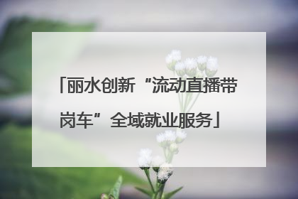 丽水创新“流动直播带岗车”全域就业服务