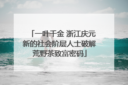 一叶千金 浙江庆元新的社会阶层人士破解荒野茶致富密码