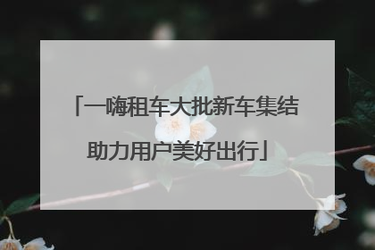 一嗨租车大批新车集结 助力用户美好出行