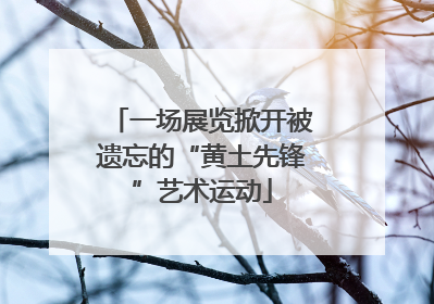 一场展览掀开被遗忘的“黄土先锋”艺术运动