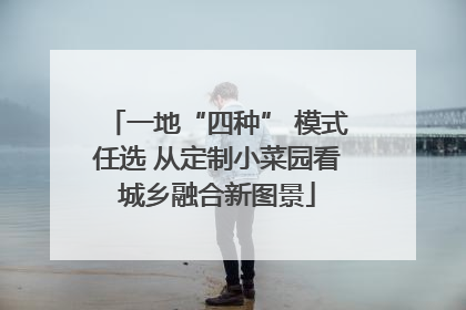 一地“四种” 模式任选 从定制小菜园看城乡融合新图景