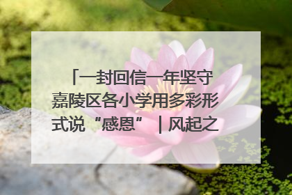 一封回信一年坚守 嘉陵区各小学用多彩形式说“感恩”｜风起之江 扶摇直上