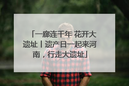 一廊连千年 花开大遗址丨遗产日一起来河南，行走大遗址