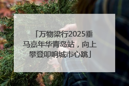 万物梁行2025垂马嘉年华青岛站，向上攀登叩响城市心跳