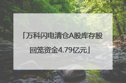 万科闪电清仓A股库存股 回笼资金4.79亿元