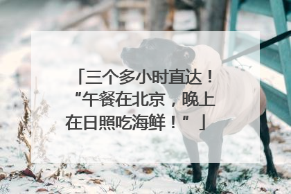 三个多小时直达！“午餐在北京，晚上在日照吃海鲜！”