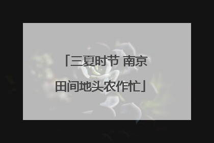 三夏时节 南京田间地头农作忙