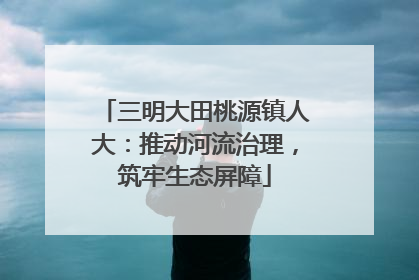 三明大田桃源镇人大：推动河流治理，筑牢生态屏障